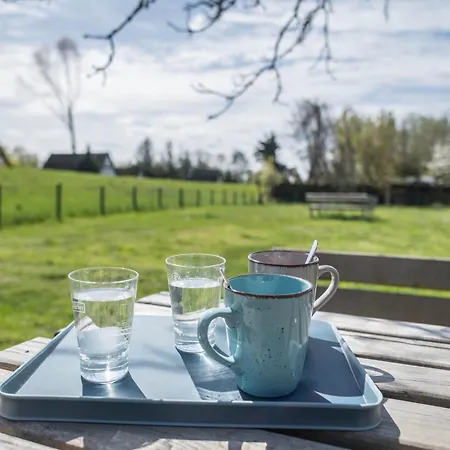 Strandnahe 4 Dierhagen